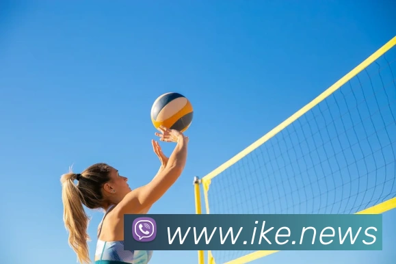 体育数据展示